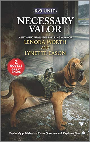Stock image for Necessary Valor for sale by ThriftBooks-Dallas