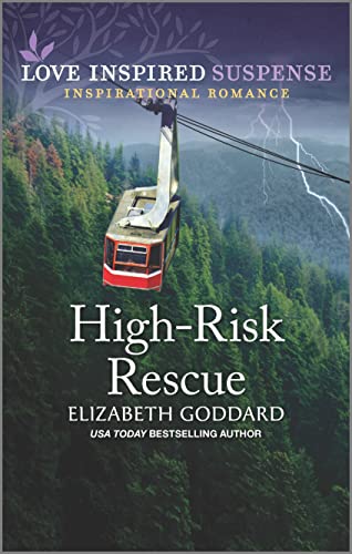 Stock image for High-Risk Rescue (Honor Protection Specialists, 1) for sale by Books of the Smoky Mountains
