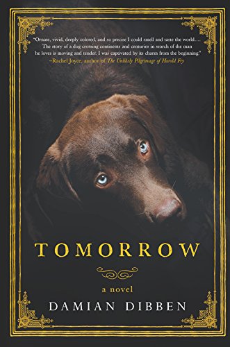 Beispielbild fr Tomorrow: A Novel zum Verkauf von Zoom Books Company