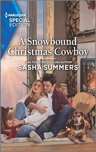 Stock image for A Snowbound Christmas Cowboy (Texas Cowboys & K-9s, 5) for sale by SecondSale