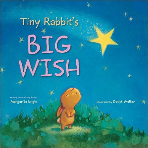 9781338036213: Tiny Rabbit's Big Wish