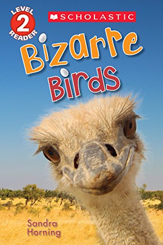 Imagen de archivo de Bizarre Birds (Scholastic Reader, Level 2) a la venta por Better World Books