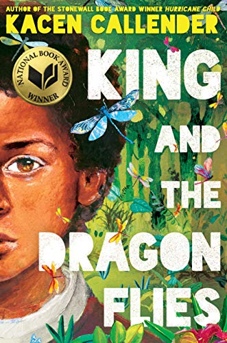 9781338129335: King and the Dragonflies