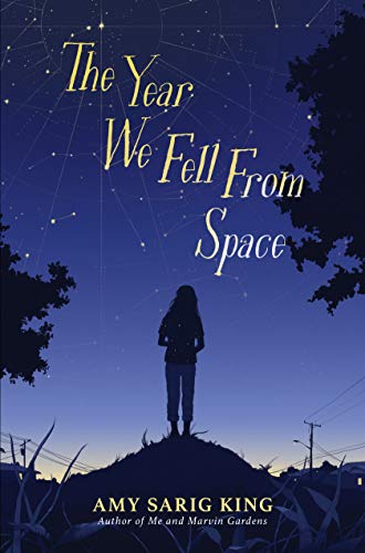 Stock image for The Year We Fell From Space for sale by Better World Books: West