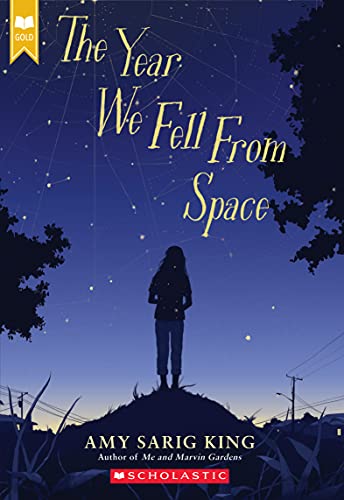 Stock image for The Year We Fell From Space (Scholastic Gold) for sale by SecondSale