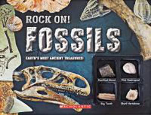Imagen de archivo de Rock On! FOSSILS: EARTH'S MOST ANCIENT TREASURES! a la venta por Your Online Bookstore