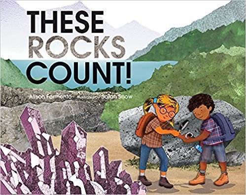 Beispielbild fr These Rocks Count! zum Verkauf von Once Upon A Time Books