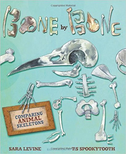 Beispielbild fr Bone by Bone: Comparing Animal Skeletons zum Verkauf von SecondSale