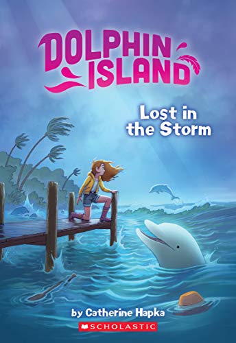 Stock image for Lost in the Storm (Dolphin Island) for sale by SecondSale