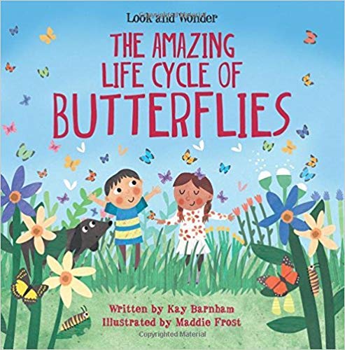 Stock image for Look and Wonder: The Amazing Life Cycle of Butterflies for sale by Gulf Coast Books