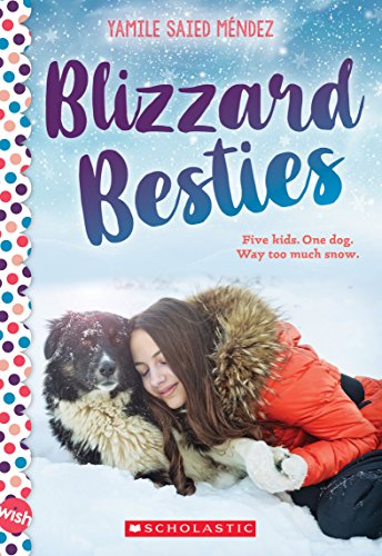 Stock image for Blizzard Besties A Wish Novel for sale by SecondSale