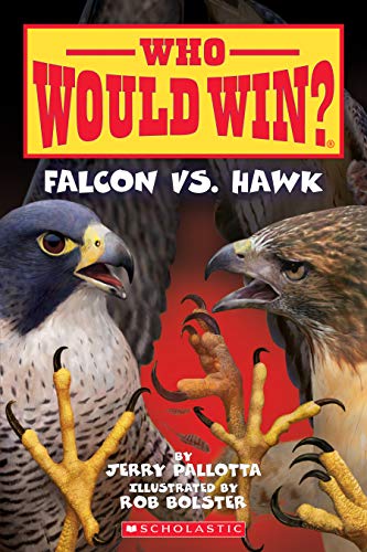 9781338320268: Falcon vs. Hawk (Who Would Win?) (Volume 23)