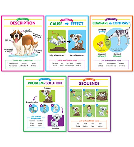 9781338344936: Text Structures Anchor Charts Bulletin Board