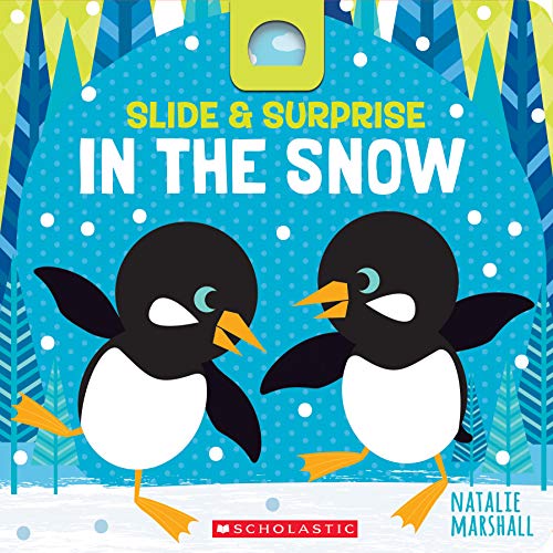 Beispielbild fr Slide and Surprise in the Snow zum Verkauf von Better World Books