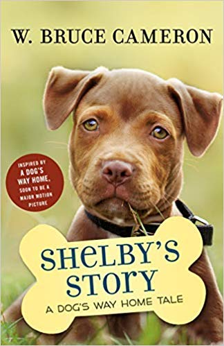 9781338531787: Shelby's Story: A Dog's Way Home Tale (Dog's Purpose Puppy Tales)