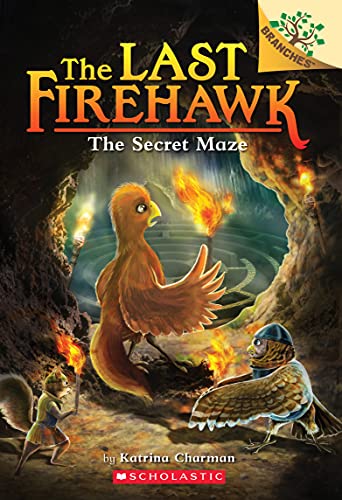 Stock image for The Secret Maze: A Branches Book (The Last Firehawk #10) (10) for sale by Gulf Coast Books