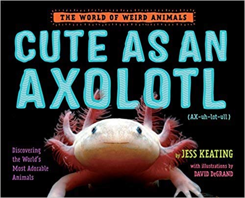 Beispielbild fr Cute As An Axolotl zum Verkauf von SecondSale