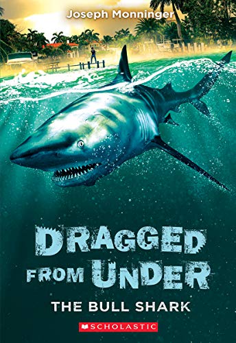 9781338587661: The Bull Shark (Dragged from Under #1) (Volume 1)