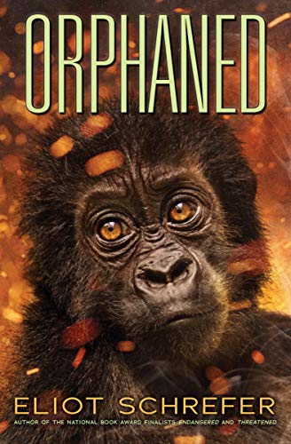 9781338608311: Orphaned (Ape Quartet #4)