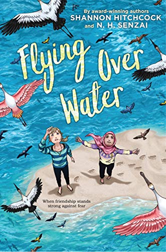 Stock image for Flying over Water for sale by Better World Books