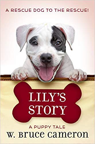 Imagen de archivo de Lily's Story: A Puppy Tale a la venta por SecondSale