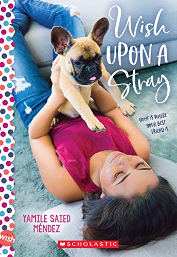 Stock image for Wish Upon a Stray: A Wish Novel for sale by SecondSale