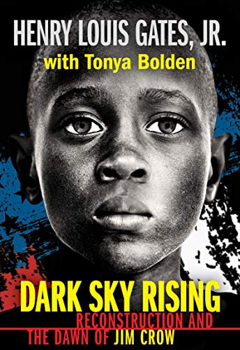 Beispielbild fr Dark Sky Rising: Reconstruction and the Dawn of Jim Crow zum Verkauf von SecondSale