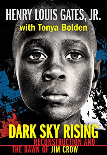 Stock image for Dark Sky Rising: Reconstruction and the Dawn of Jim Crow for sale by SecondSale