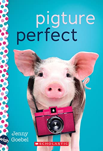 9781338716405: Pigture Perfect (Wish)