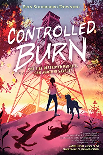 Beispielbild fr Controlled Burn zum Verkauf von Blackwell's