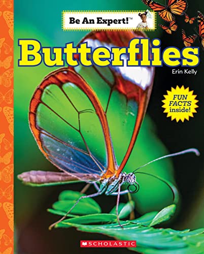 Beispielbild fr Butterflies (Be an Expert!) zum Verkauf von Wonder Book