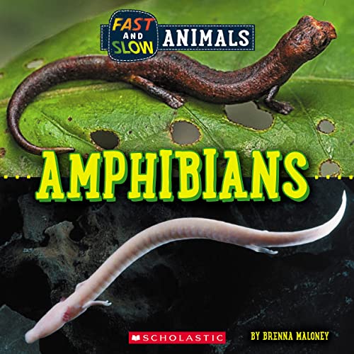 Beispielbild fr Amphibians (Wild World: Fast and Slow Animals) zum Verkauf von ThriftBooks-Dallas