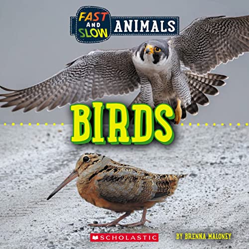 Beispielbild fr Birds (Wild World: Fast and Slow Animals) zum Verkauf von ThriftBooks-Dallas