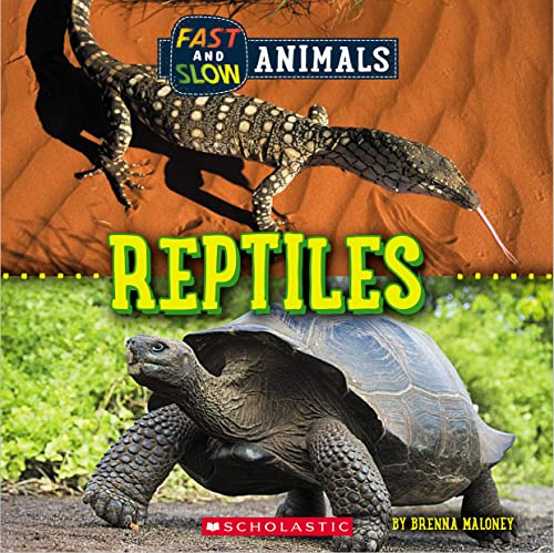 Beispielbild fr Reptiles (Wild World: Fast and Slow Animals) zum Verkauf von Jenson Books Inc