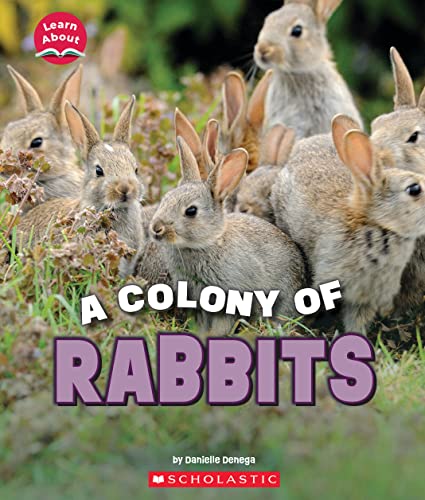 Beispielbild fr A Colony of Rabbits (Learn About: Animals) zum Verkauf von BooksRun