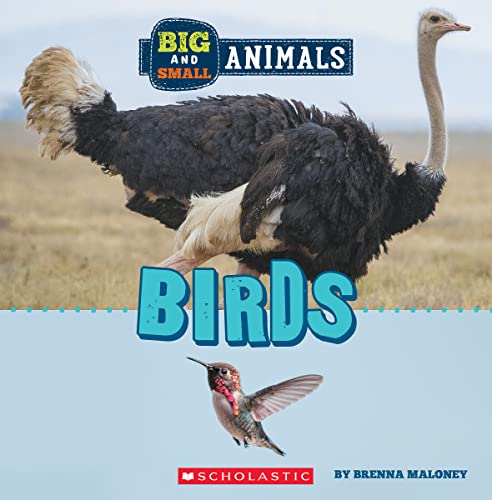 Beispielbild fr Birds (Wild World: Big and Small Animals) zum Verkauf von GF Books, Inc.