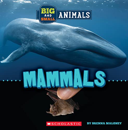 Beispielbild fr Mammals (Wild World Big and Small Animals) zum Verkauf von Lakeside Books