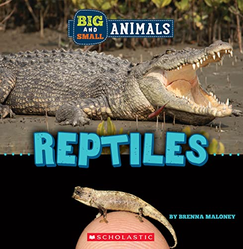 Beispielbild fr Reptiles (Wild World: Big and Small Animals) zum Verkauf von SecondSale