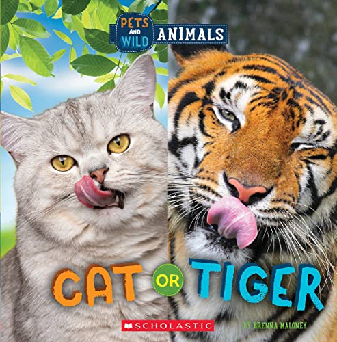 Beispielbild fr Cat or Tiger (Wild World: Pets and Wild Animals) zum Verkauf von HPB-Ruby