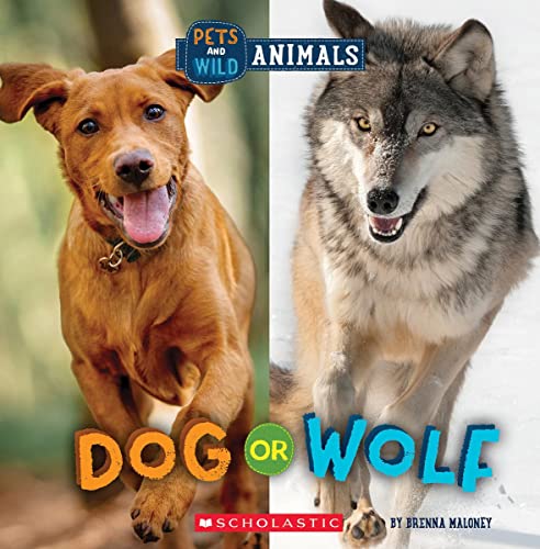 Beispielbild fr Dog or Wolf (Wild World: Pets and Wild Animals) zum Verkauf von ThriftBooks-Atlanta