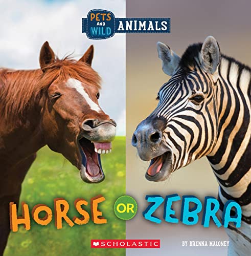 Beispielbild fr Horse or Zebra (Wild World: Pets and Wild Animals) zum Verkauf von HPB-Ruby