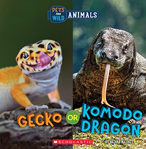 Beispielbild fr Gecko or Komodo Dragon zum Verkauf von Blackwell's