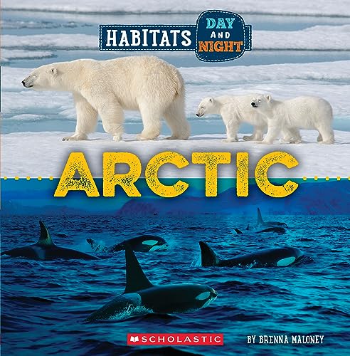 Beispielbild fr Arctic zum Verkauf von GreatBookPrices