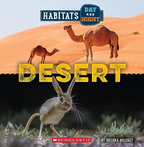 Stock image for Desert for sale by Blackwell's