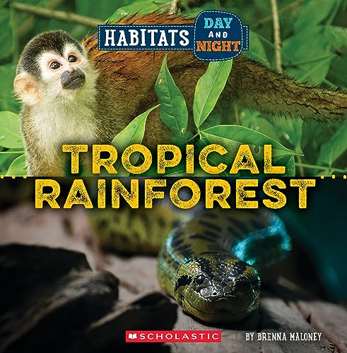 9781339020792: Tropical Rainforest (Wild World: Habitats Day and Night)