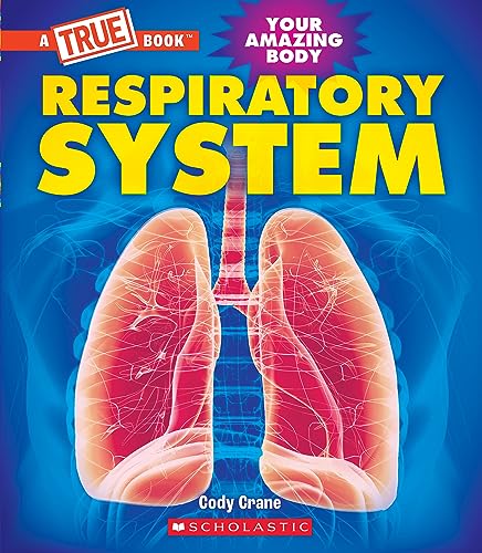 Stock image for Respiratory System (A True Book: Your Amazing Body) for sale by Blackwell's