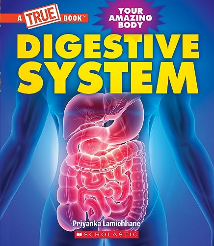 Stock image for Digestive System (A True Book: Your Amazing Body) for sale by Blackwell's