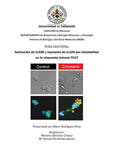 Imagen de archivo de Activacin de IL23A y represin de IL12A por metabolitos en la respuesta inmune Th17 (Spanish Edition) a la venta por Lucky's Textbooks