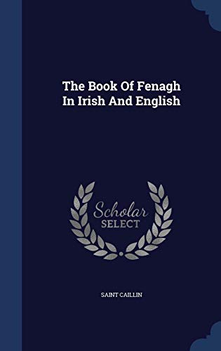 9781340120917: The Book Of Fenagh In Irish And English