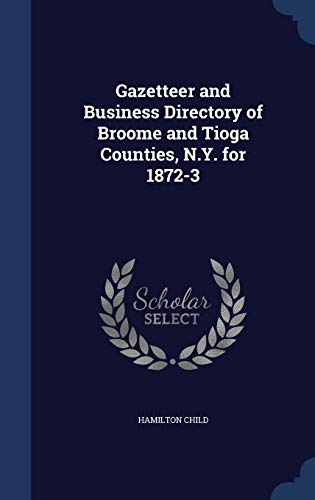 9781340156596: Gazetteer and Business Directory of Broome and Tioga Counties, N.Y. for 1872-3